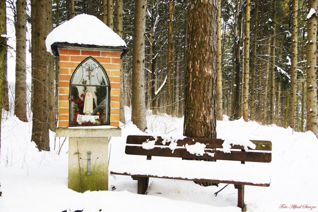 Ardagger Markt Bio-Bauernhof Haunschmidヴィラ エクステリア 写真